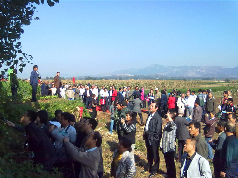 首届嬴文化研讨会在山东莱芜开幕 (3).jpg